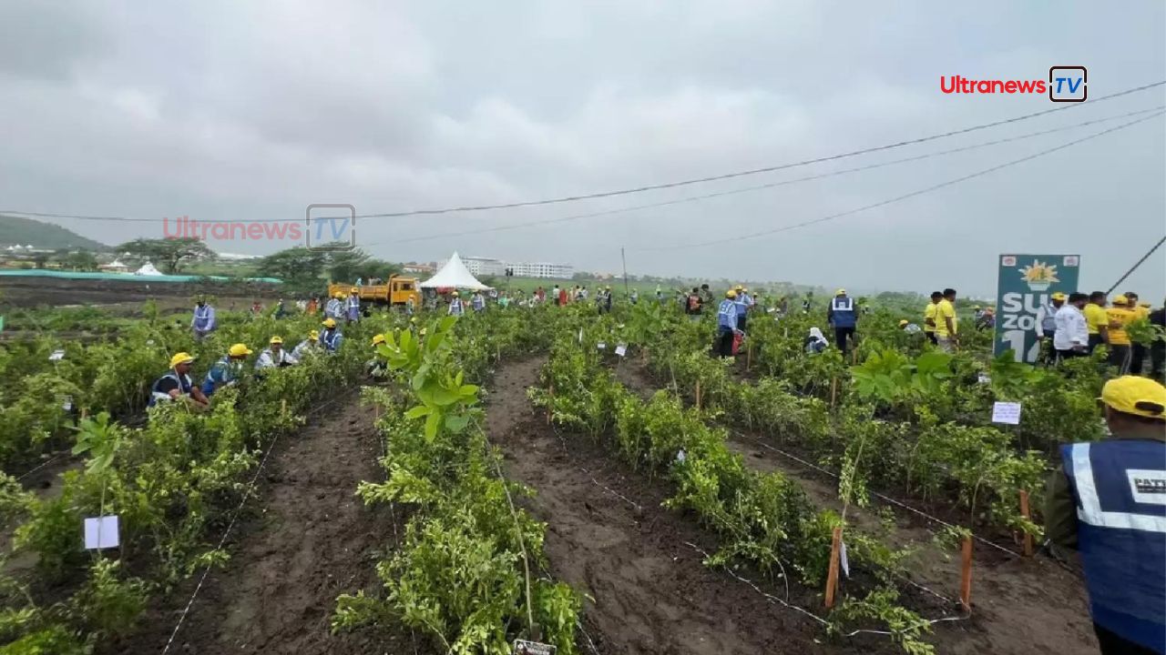 इंदौर ने बनाया वर्ल्ड रिकॉर्ड, लगाए 1 दिन में 11 लाख पौधे - Indore made world record, planted 11 lakh saplings in 1 day
