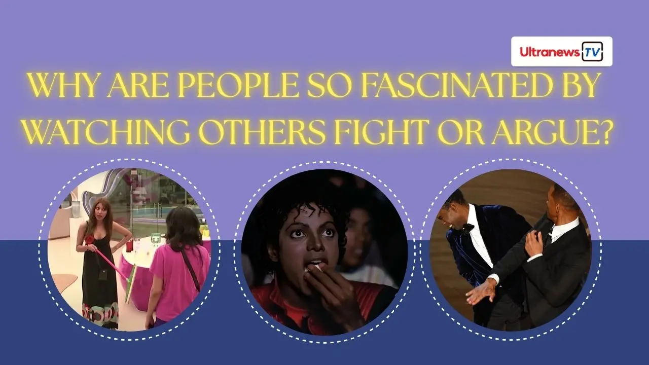 Why are people so fascinated by watching others fight or argue?