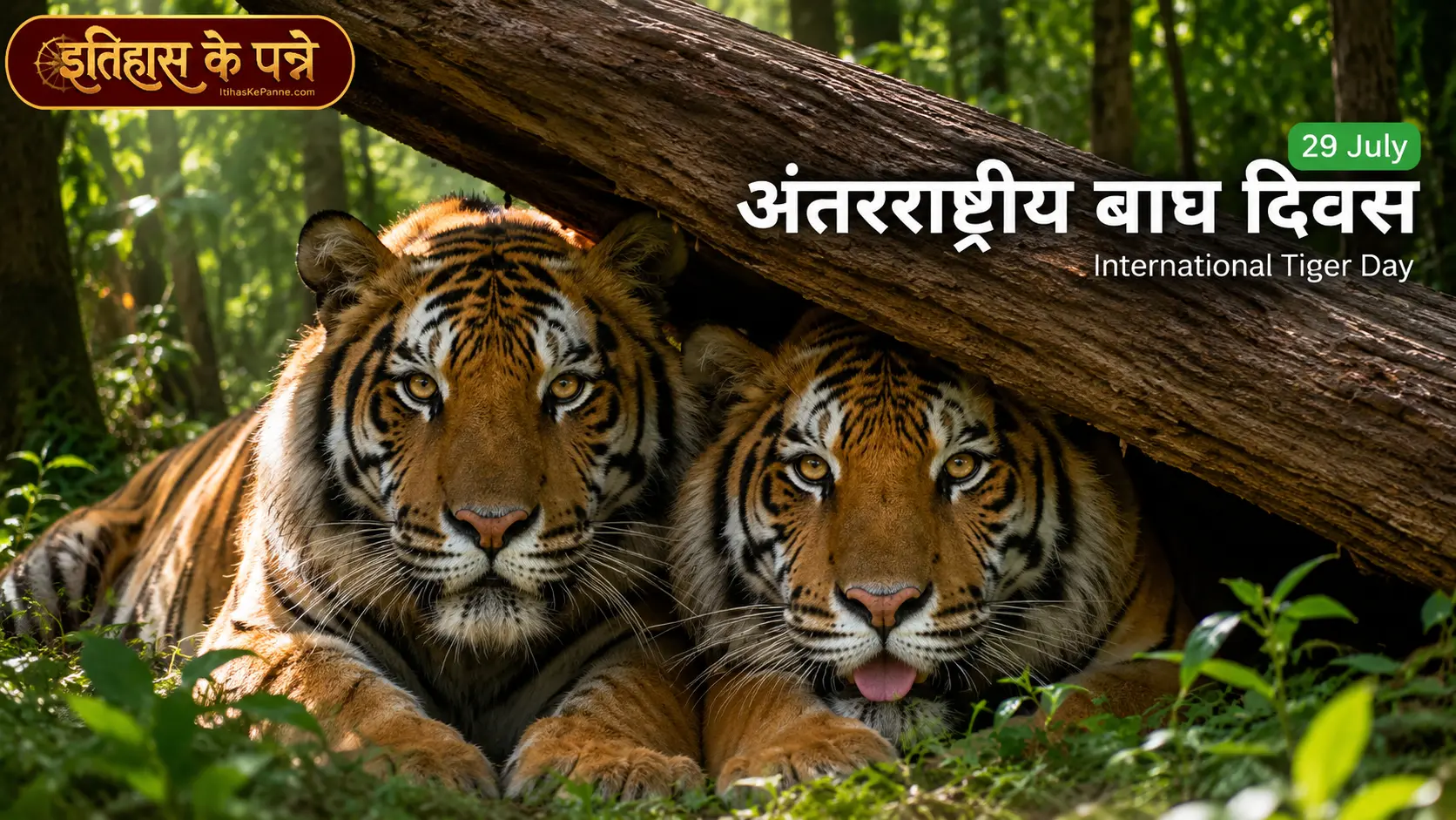 अंतर्राष्ट्रीय बाघ दिवस -  International Tiger Day: 29 जुलाई