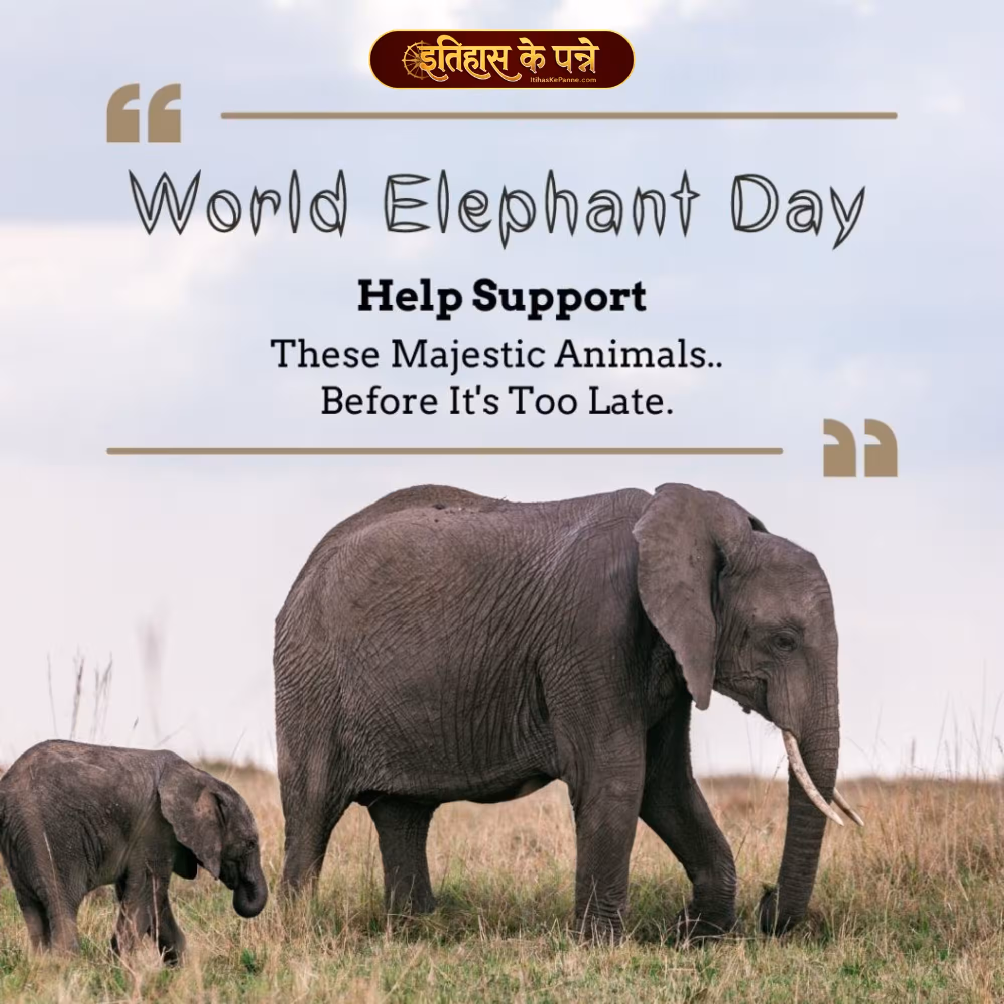 World Elephant Day | विश्व हाथी दिवस | 12 August